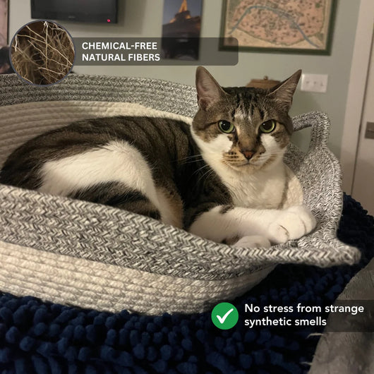 Instinct Basket | Meet the first research-backed natural territory for indoor cats