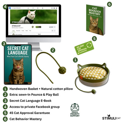 Instinct Basket | Meet the first research-backed natural territory for indoor cats