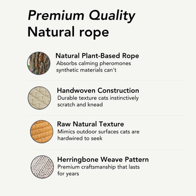 Instinct Basket | Meet the first research-backed natural territory for indoor cats