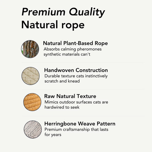 Instinct Basket | Meet the first research-backed natural territory for indoor cats