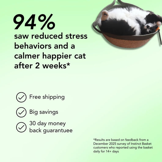 Instinct Basket | Meet the first research-backed natural territory for indoor cats