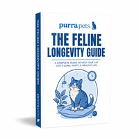 The Feline Longevity Guide