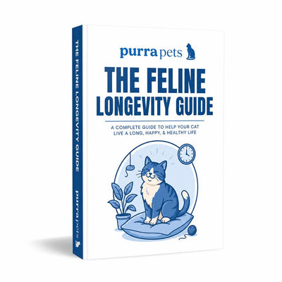 The Feline Longevity Guide