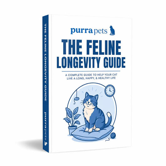 The Feline Longevity Guide